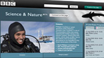 screenshot of new S&N website