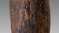 Australian bark shield