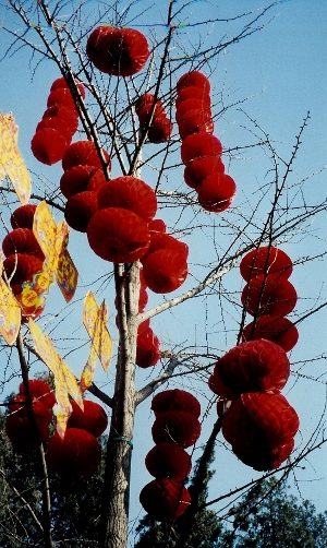 cny2.jpg
