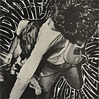 Superfuzz Bigmuff sleeve