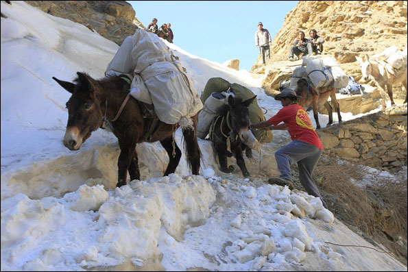 nepal_4.jpg