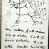 The Darwin Archive