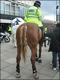 警马