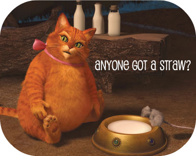 fatcat_moviesblog_final.jpg