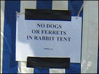blog_ferrets.jpg