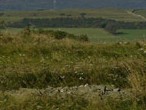 Newen Farm