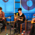 Foals in The Hub!