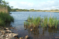 Llyn Cerrig Bach