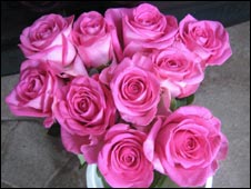 roses_226.jpg