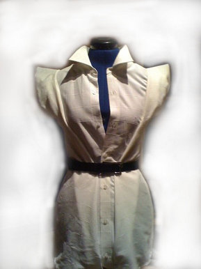 Shirt Dress.