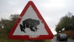 Non-regulation road sign.