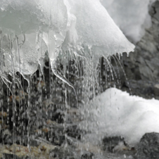 melt226x226.jpg
