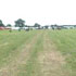 Carling stage