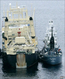 Whaling fleet