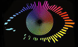 Big Brother Logo.