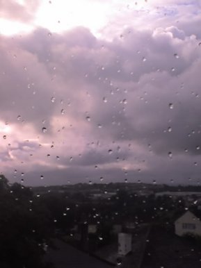 Rain