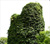 Castell Llantrisant