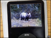 ipod