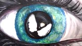 The Eye