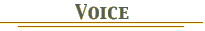 Voice Banner