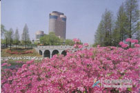 seoul.jpg