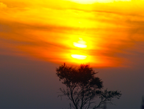 sunset