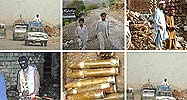 Syed Shoaib Hasan's photos on Flickr