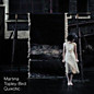 Review of Quixotic