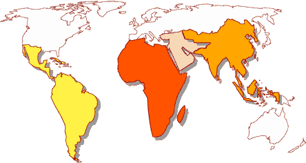 World Map