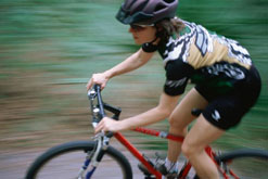 Image: The Bicycle