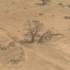 Southern Darfur, near Nyala, from the air