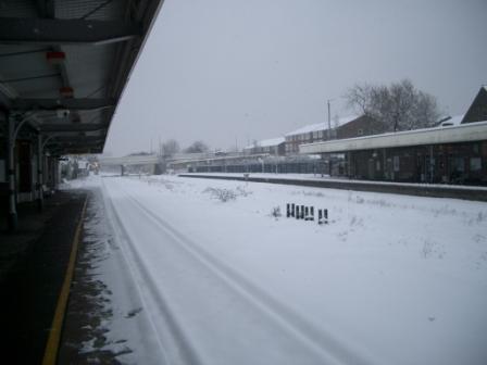 snowy40.JPG