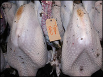 turkey_meat_203.jpg