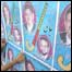 انتخابات