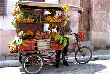 ravsberg_442x330jpg.jpg