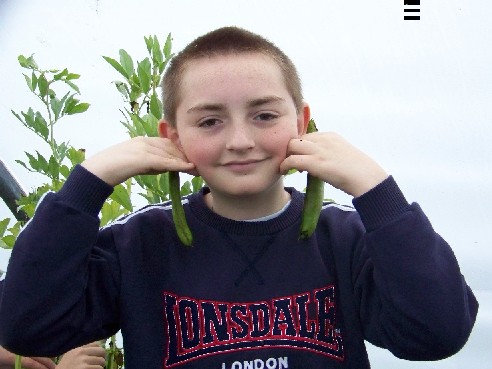 Our broad beans.