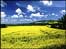 Staffordshire countryside.