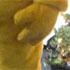 Pudsey