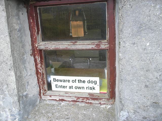 The Warning
