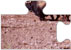 Jigsaw puzzle. Conditions