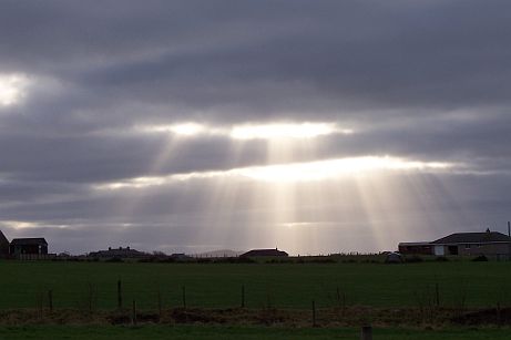 Lovely sunlight