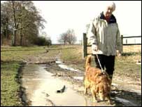 walker and dog