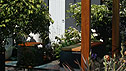 University of Worcester Garden
