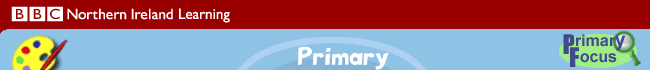Primary Focus - Art