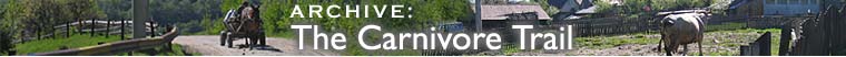 The Carnivore Trail