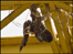 Bird trapped in crane at Barrow shipyard