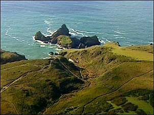 Lizard Point