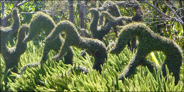botanic_600.jpg