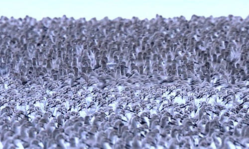 knot-on-land.jpg