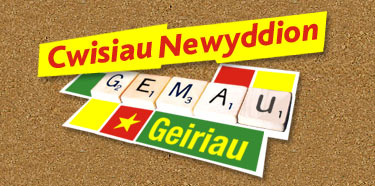 cwisiau newyddion